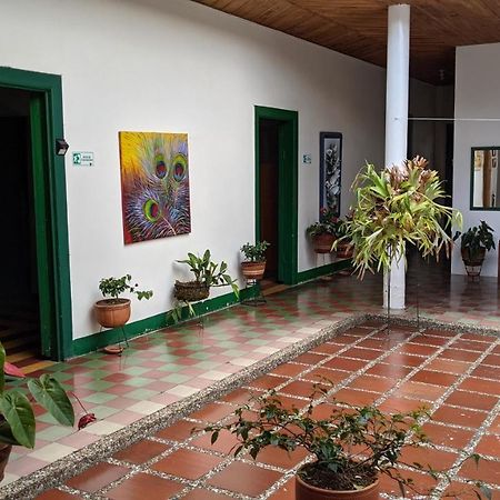 Vivienda Turistica - Casa De Carola Hotel Jardin Ngoại thất bức ảnh
