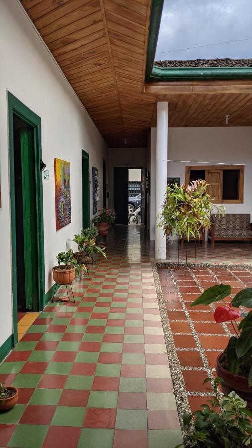 Vivienda Turistica - Casa De Carola Hotel Jardin Ngoại thất bức ảnh